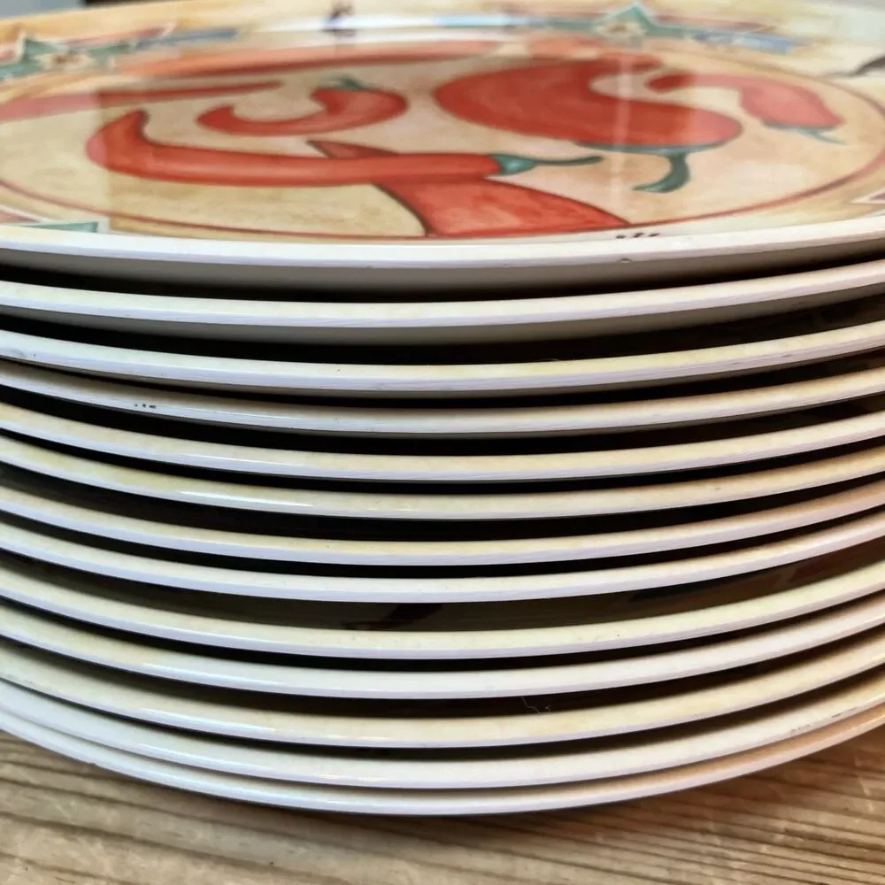 VTG Precidio Linda Norton 2003 Southwestern Chile Kokopelli Melamine Plates (13)